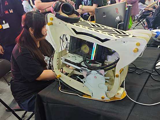 核聚变游戏嘉年华圆满落幕 映众电竞叛客显卡强势助阵(图6)