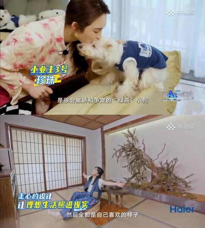 AI科技点亮家居生活 央视频《有AI家理人》生成智慧家装灵感宝库(图10)