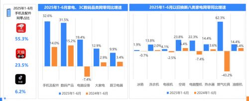 九游app：2025上半年网络零售市场五大关键词：带电品类高增、代际需求细分、M型消费、AI驱动新质供给、新业态点燃新消费场景(图2)