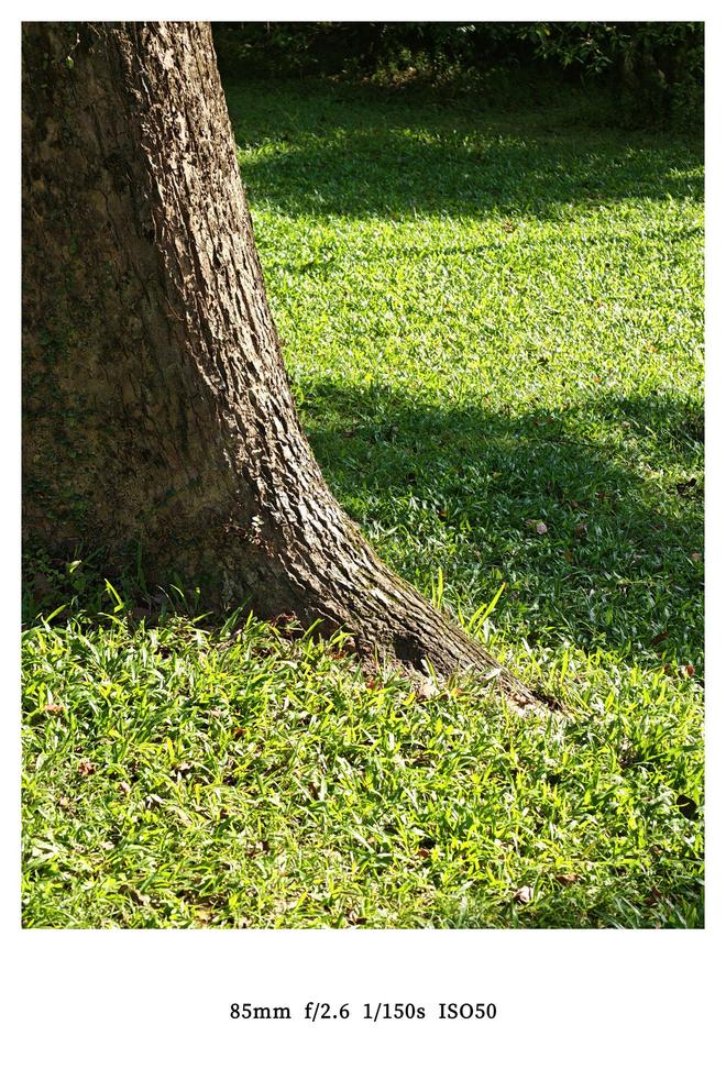 荣耀Magic8 Pro评测：AI赋能全场景智能重构日常(图9)