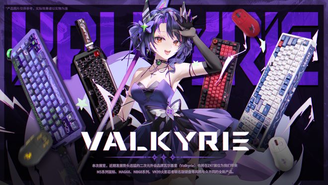 WePlay  ZFX 2025开票啦！(图48)