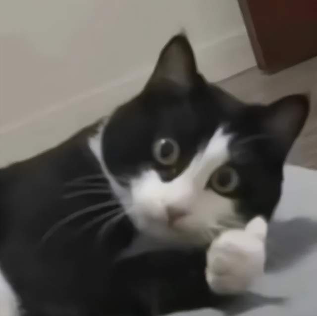 原神LOL齐聚的Unity开发者大会我看到了AI游戏的未来(图5)