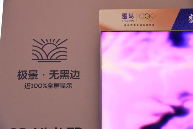 电视与电竞屏双杀！我在AWE 2026雷鸟展区发现的显示黑科技(图8)